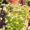 fi.sabilillah63