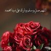 nahedalsafadi119