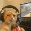 mandarina_f