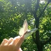 hiamcun
