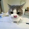 miaaaawwwww1