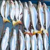 Cá -Gà Vịt Sạch Ngon sạch TĐ