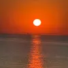 user146_2445