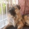 enrique_17_18