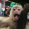 flavmrtinez