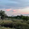 тимурка_авангард.64