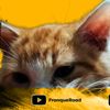 fronqueroad
