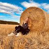 antonina13021988