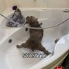 baby_sauce_jada