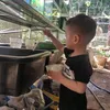 trung_guppy
