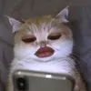 its_menabie