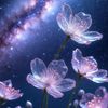 sakura_koi808