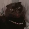 djonni07