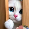 cikbunga_7472