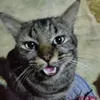 sniffsniffffffff