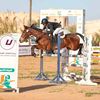 ahmedaldai16