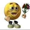 tomato_26528