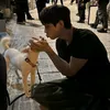 ⋆୨୧˚