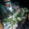 adhel.ia21