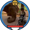 あぴぱおん🐘🍺