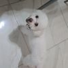 alex_gmz12