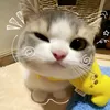 mee.gaii.xinhh