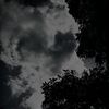 vengefulsoul_