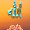 nousaht