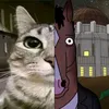 __bojack.horseman__