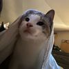 kitty_kat101010