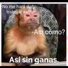 aguelitasgt