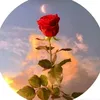 user7346949018829
