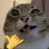 pingwin2xd