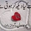 yaseenali23361