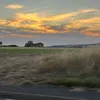 13paige_s