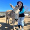 JIMMYZ DONKEY RESCUE
