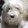 expeealydocious