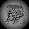 aser.alwahm