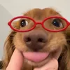 lesbicholic