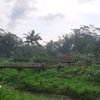 ernawati_007