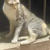 mviendtr
