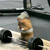 chillguy_604