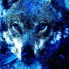 wolfwolfff
