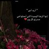 kamli20508gmail.com39
