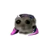 jaybsuco