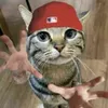 gatunodasilvakkk
