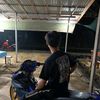 user_27112008