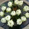 t.mai3964