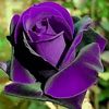beautifuldaysahead24