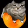 chiknnuggett11